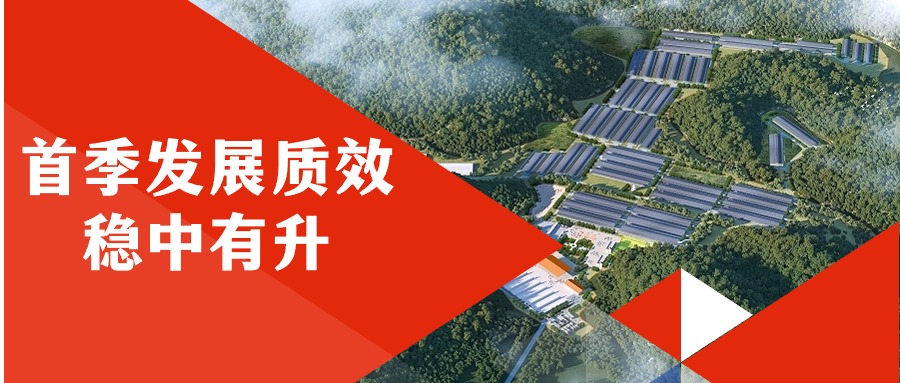 j9九游会集团首季发展质效稳中有升